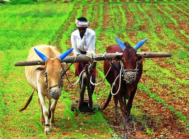 Farmers