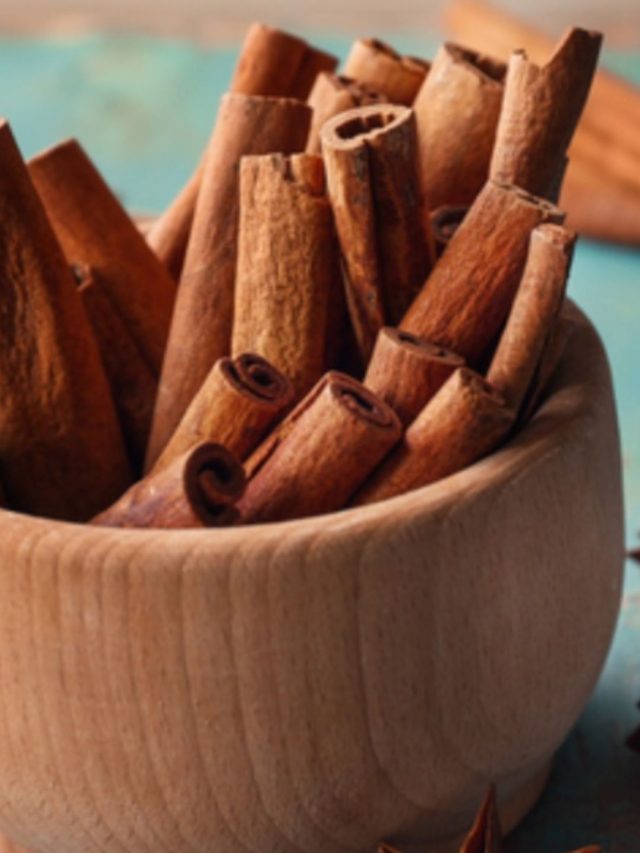 Cinnamon Benefits: डायबिटीज़ से लेकर कैंसर से बचाव तक, स्लाइड्स में जानें दालचीनी के फायदे