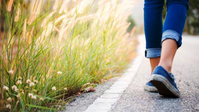 Backward Walking Benefits