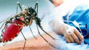 Dengue Cases in UP