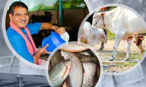 Pradhan Mantri Janjati Unnat Gram Abhiyan