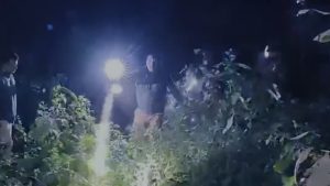 Lucknow Tiger Rescue