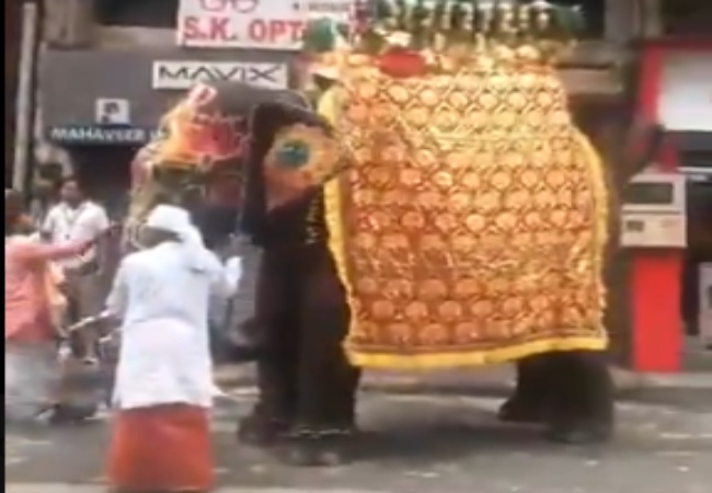 Ahmedabad Rath Yatra Elephant