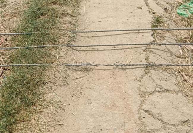 corruption in electricity