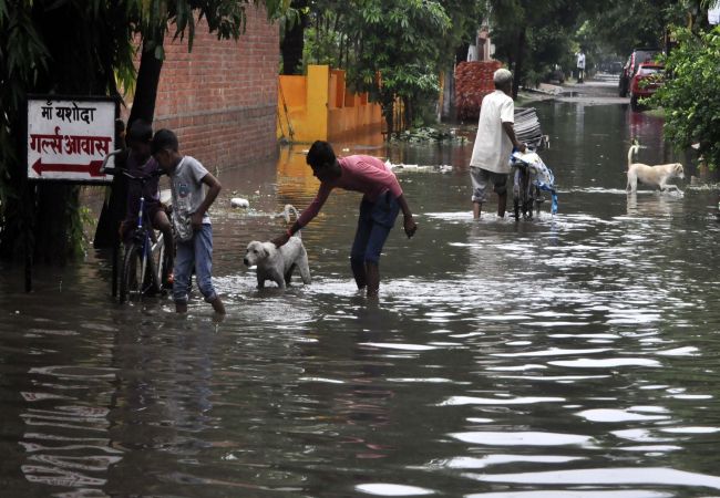 rain in lucknow