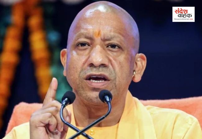 यूपी के हर जिले में आवारा कुत्तों के लिए बनेंगे हाई-टेक डॉग शेल्टर होम, करोड़ों का बजट मंजूर