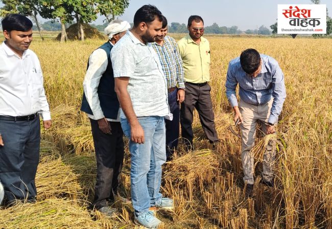 Crop Cutting Experiment
