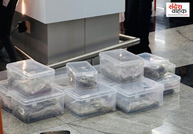 Surat Airport Drug Bust