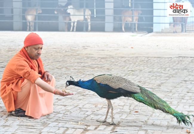 CM Yogi Adityanath Janata Darshan