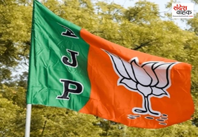 Organizational Festival 2024