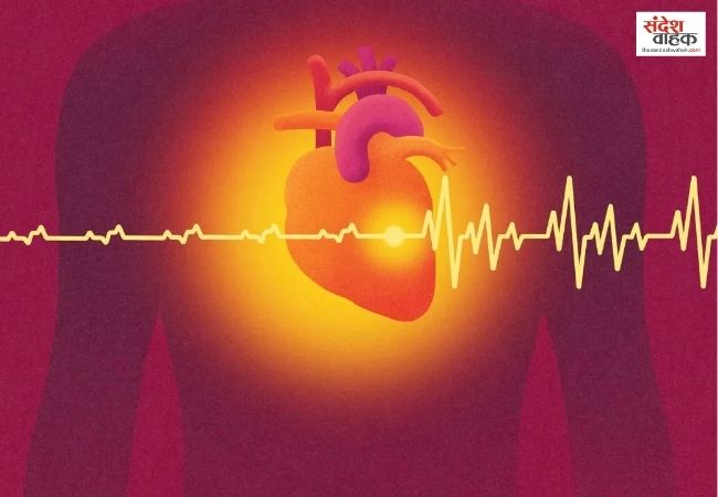 ये हैं Cardiotoxicity से बचने के आयुर्वेदिक उपाय