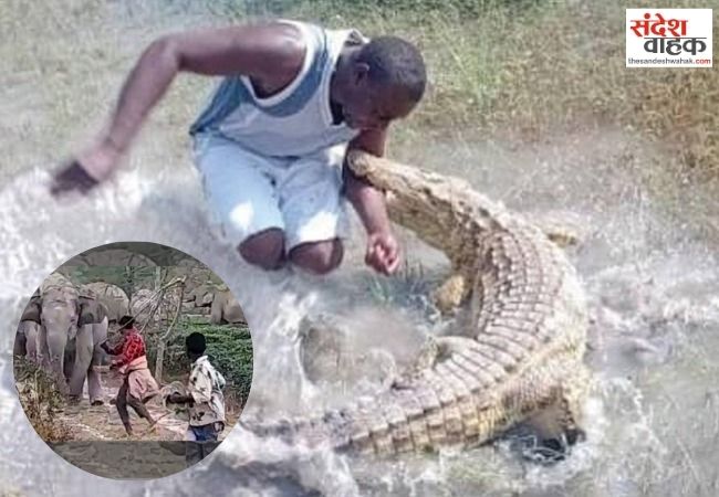 Crocodile Attack On Hunter
