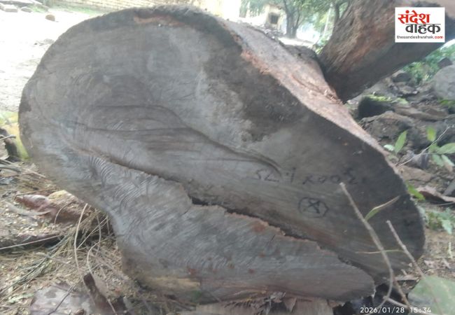 Balrampur News: आरा मशीनों पर होती है अवैध व जंगली लकड़ियों की चिरान, वन विभाग की टीम ने बरामद की लकड़ी