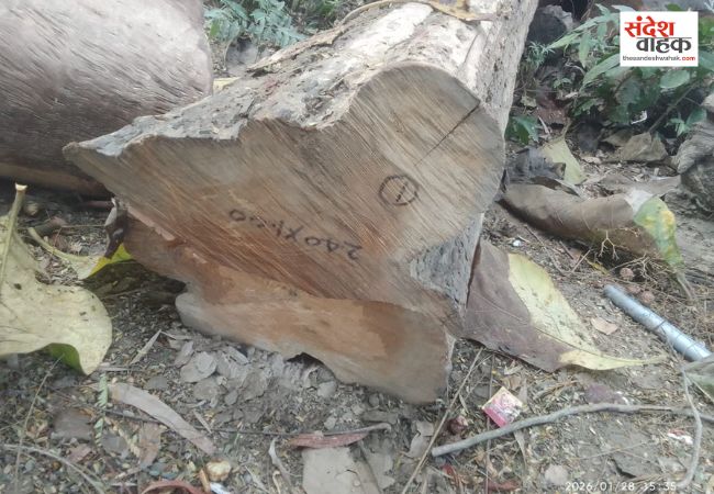 Balrampur News: आरा मशीनों पर होती है अवैध व जंगली लकड़ियों की चिरान, वन विभाग की टीम ने बरामद की लकड़ी