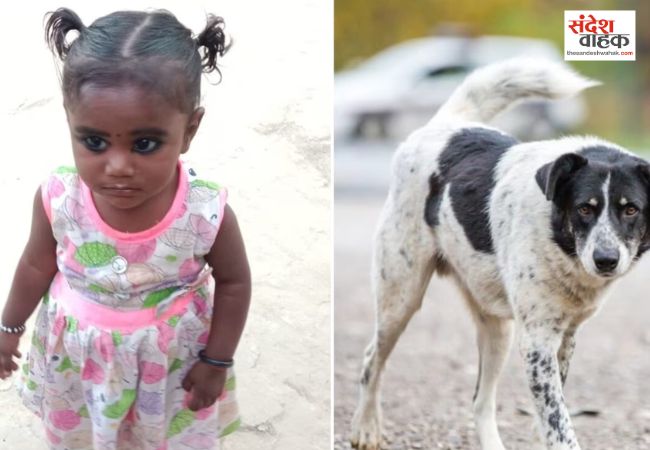 Gonda News: शौच के लिए गई 5 साल की बच्ची को कुत्तों ने नोच-नोच कर मार डाला