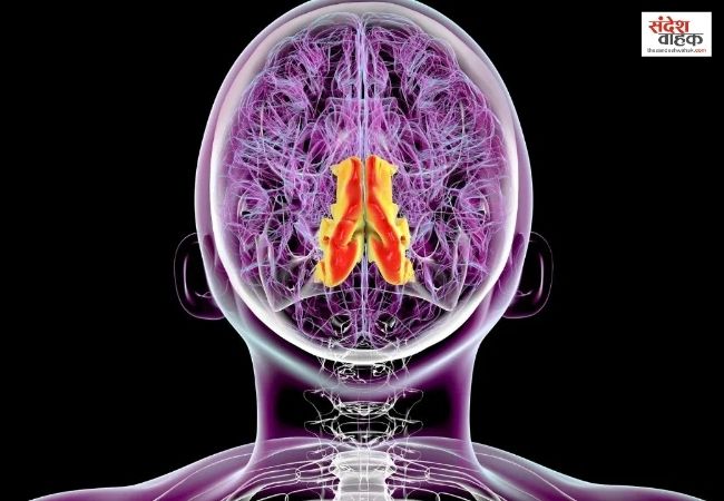 जागरूकता की कमी से बढ़ रहे हैं Epilepsy के मामले!