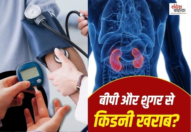 जानें कैसे Kidney को सीधा नुकसान पहुंचाते हैं BP और Diabetes