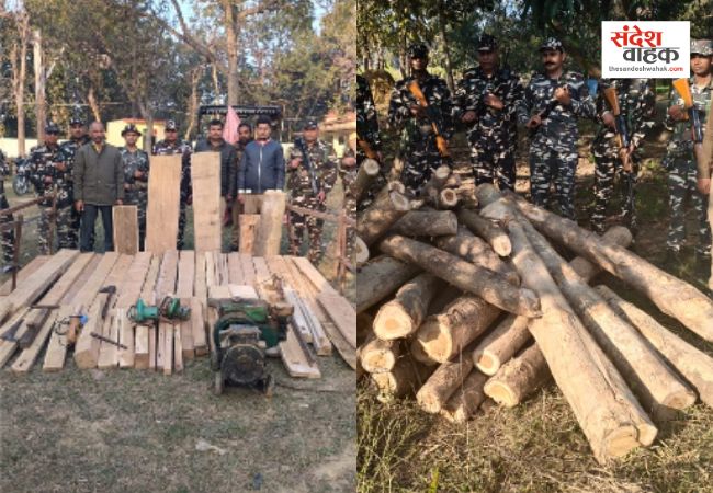 बलरामपुर: बॉर्डर पर अवैध लकड़ी के कारोबार का भंडाफोड़, SSB और वन विभाग ने की संयुक्त कार्रवाई