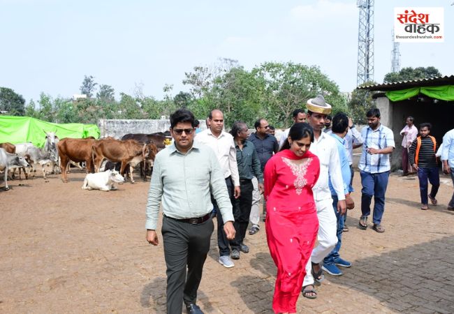 Siddharthnagar News: डीएम शिवशरणप्पा ने पत्नी संग की गौ-सेवा, कपिलवस्तु की गौशाला में खिलाया गुड़-केला