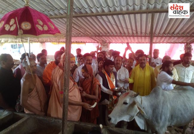 अविमुक्तेश्वरानंद ने किया गौ-पूजन, बोले- गौ सेवा ही भारतीय संस्कृति का आधार