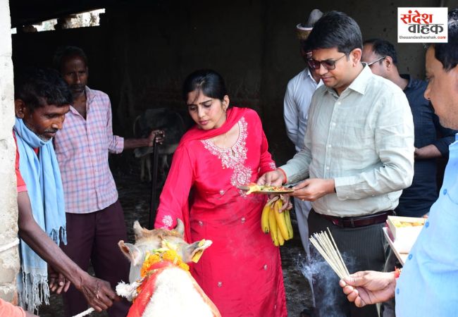 Siddharthnagar News: डीएम शिवशरणप्पा ने पत्नी संग की गौ-सेवा, कपिलवस्तु की गौशाला में खिलाया गुड़-केला
