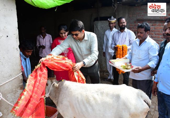 Siddharthnagar News: डीएम शिवशरणप्पा ने पत्नी संग की गौ-सेवा, कपिलवस्तु की गौशाला में खिलाया गुड़-केला