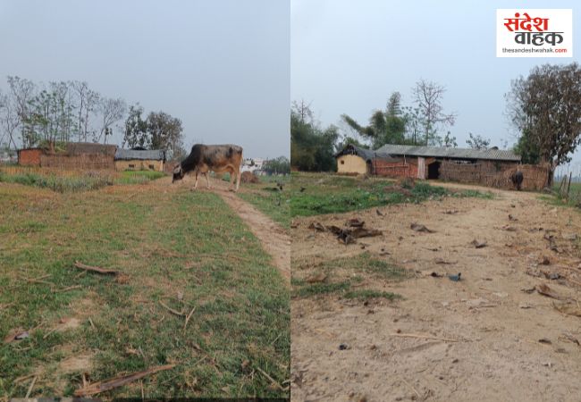 बलरामपुर: मनरेगा में 'फोटो' का खेल! कागजों पर बनी चकमार्ग, प्रधान पर सरकारी धन के बंदरबांट का आरोप