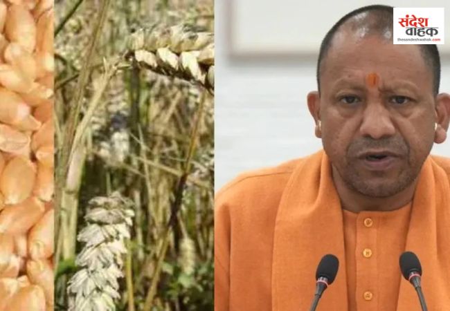 CM Yogi Adityanath