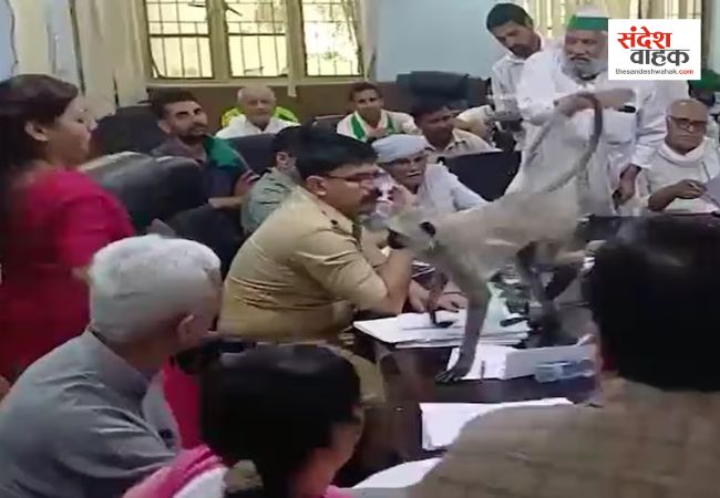 Baghpat News: DM मीटिंग में अचानक ‘मटरू’ की एंट्री से बदला माहौल, वीडियो हो गया वायरल
