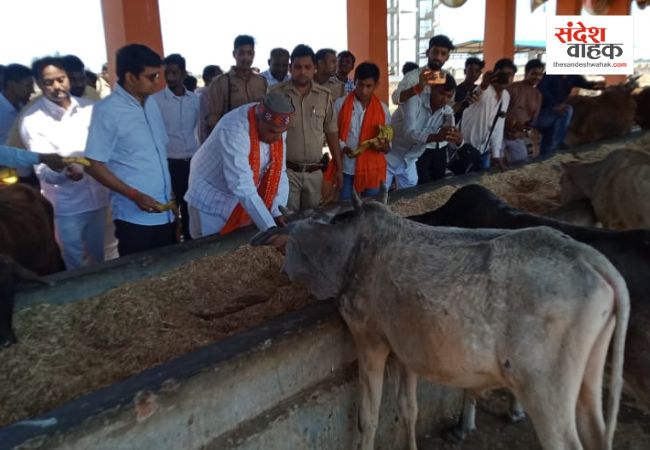 Siddharthnagar News: सांसद जगदंबिका पाल और DM ने किया महरिया गौशाला का औचक निरीक्षण