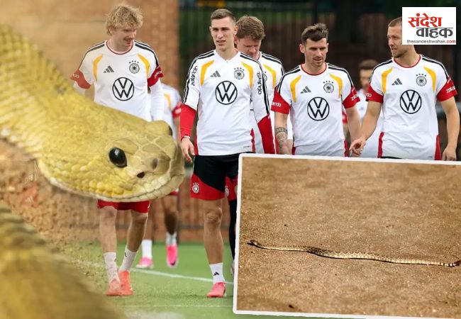 FIFA World Cup 2026