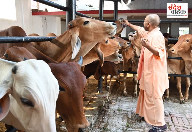 जरूरतमंदों के साथ खड़ी है सरकार, हर उचित समस्या का कराएगी निदानः सीएम योगी