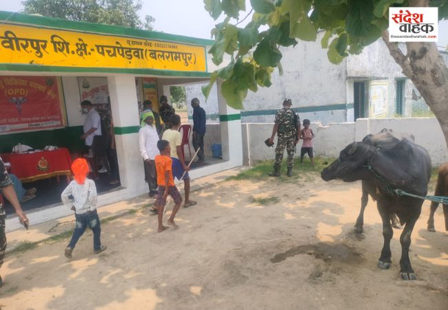 सशस्त्र सीमा बल ने वीरपुर गांव में किया निःशुल्क पशु चिकित्सा शिविर का आयोजन