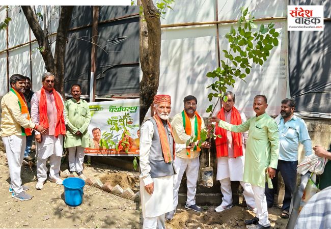 सहकारिता बैंक एसोसिएशन के प्रदेश अध्यक्ष ने किया पौधरोपण