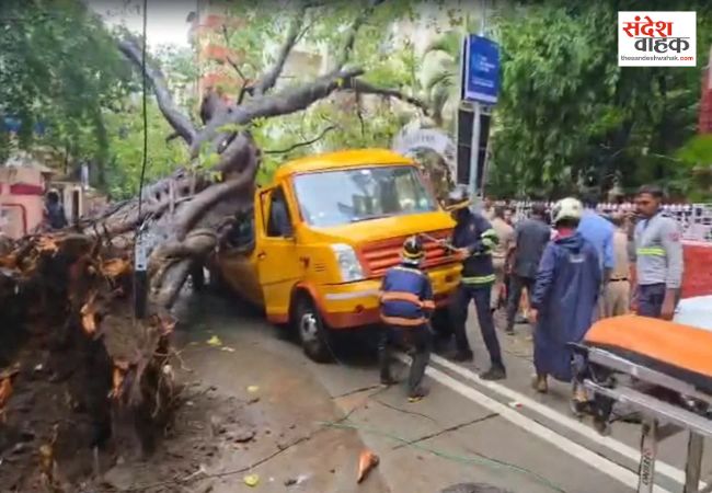स्कूल वैन पर गिरा भारी-भरकम पेड़, एक मासूम की मौत