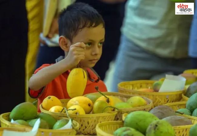 यूपी के आमों पर संकट, जापान-अमेरिका ने क्यों रोकी खरीद, जानें वजह