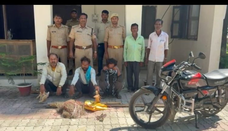 सिद्धार्थनगर: नौगढ़ वन विभाग का बड़ा एक्शन, 3 वन्यजीव तस्कर गिरफ्तार, गोह, सियार और खरहा बरामद