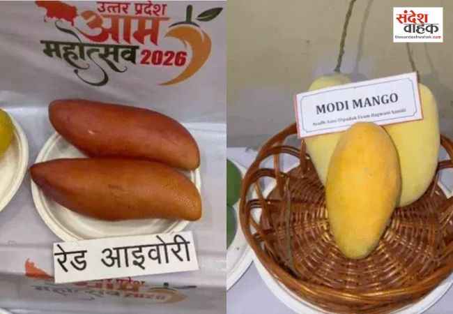 सीएम योगी बोले- काकोरी ब्रांड के नाम से दुनिया भर में महकेगा यूपी का आम