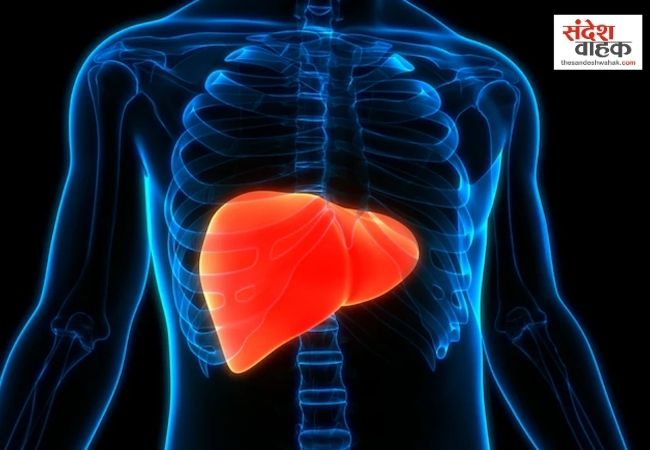 World Hepatitis Day 2026: लीवर देता है शुरुआती संकेत, हेपेटाइटिस के इन लक्षणों को भूलकर भी न करें नजरअंदाज