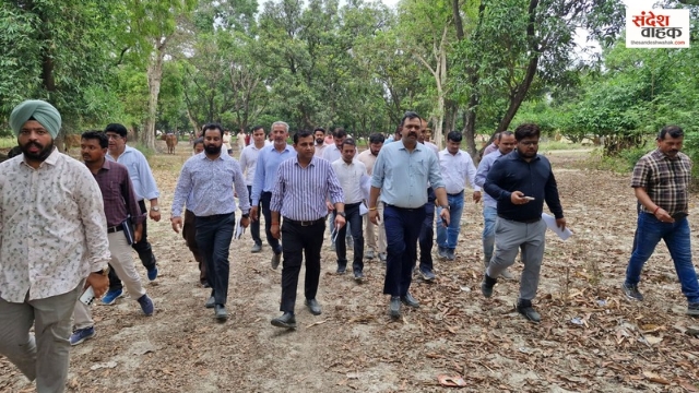 लखनऊ में 8,000 पेड़ बचाने का प्लान, अनंत नगर योजना में होगा मेगा ट्रांसप्लांट अभियान