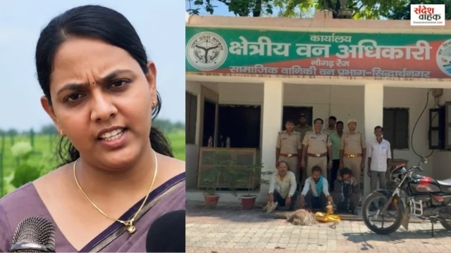 सिद्धार्थनगर: नौगढ़ वन विभाग का बड़ा एक्शन, 3 वन्यजीव तस्कर गिरफ्तार, गोह, सियार और खरहा बरामद