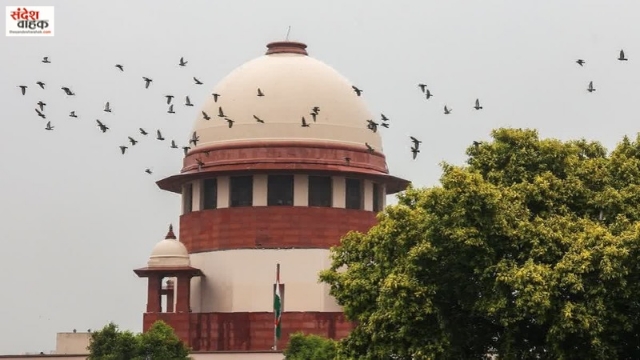 CEC Appointment