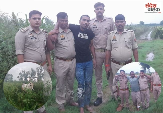 Bareilly News