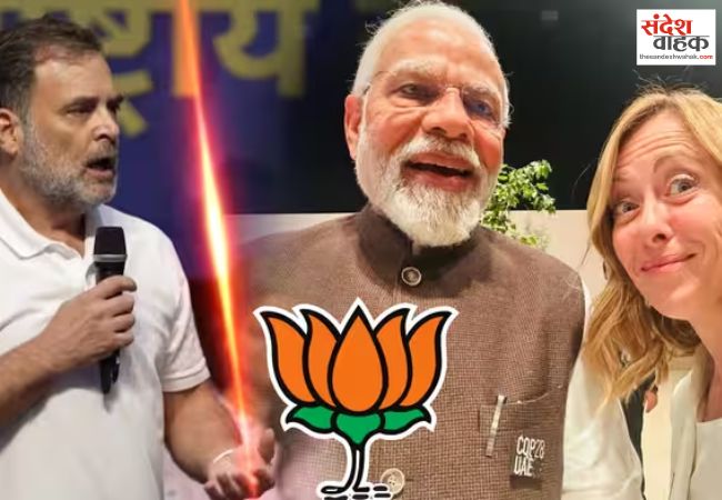 राहुल गांधी के बयान पर बीजेपी का तीखा पलटवार