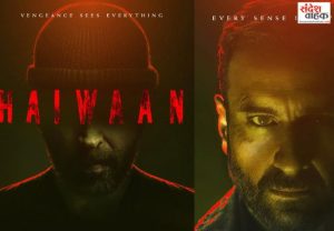 Haiwaan