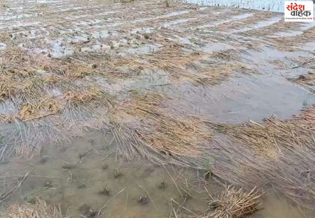 यूपी में मूसलाधार बारिश से हुए हादसों में 15 लोगों की मौत
