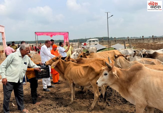 सेवा संकल्प अभियान के तहत विधायक श्यामधनी राही ने लिया गौ सेवा का संकल्प