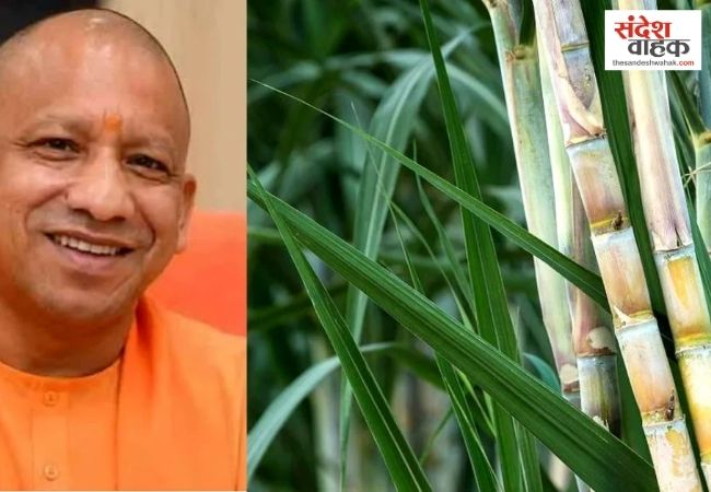 बस्ती से विदेश पहुंचा 25 हजार कुंतल शीरा, यूपी की ग्रामीण अर्थव्यवस्था को मिला ग्लोबल बाजार