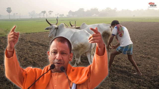 UP Farmers Loan Sceme