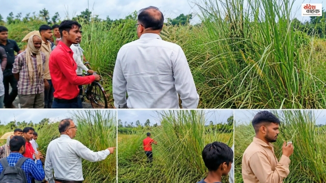 Hardoi Lekhpal Viral Video